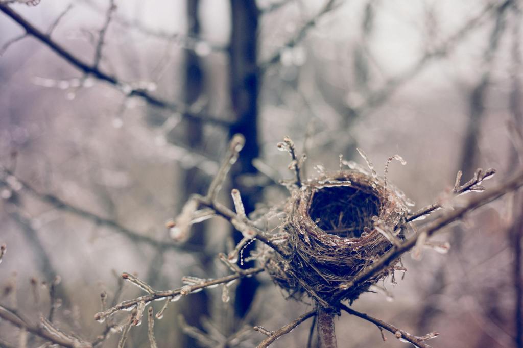 Coping with an Empty&nbsp;Nest