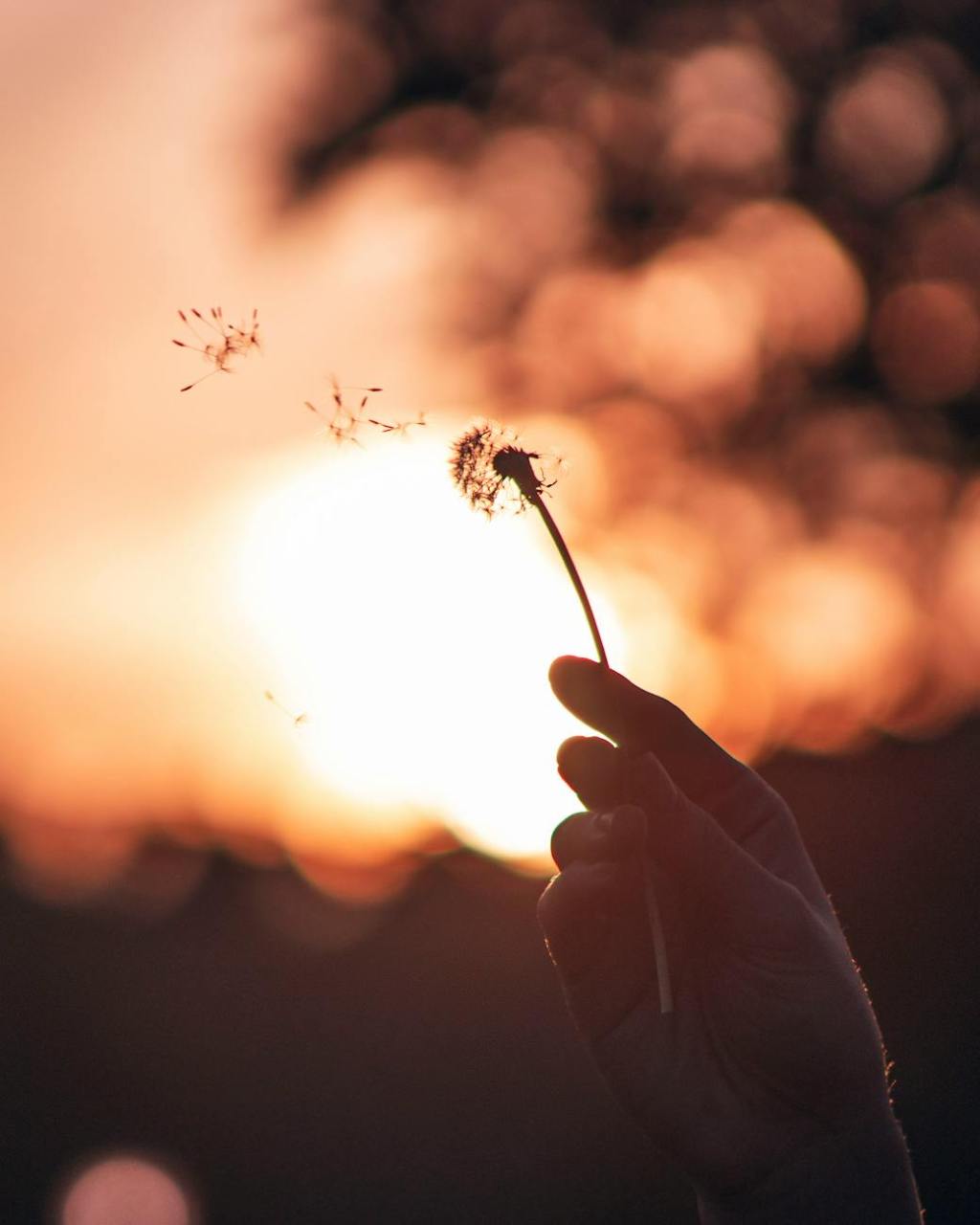 Letting Go